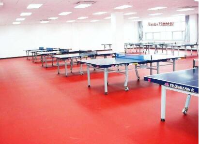 蘭州各種類型的塑膠地板多少錢(qián)